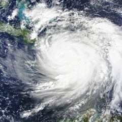 A Limit to Lifespan, Genetic Preference for Flavors, and the Power of Hurricane Matthew