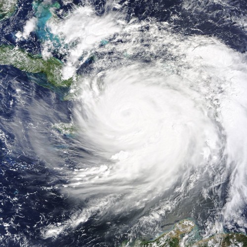 A Limit to Lifespan, Genetic Preference for Flavors, and the Power of Hurricane Matthew