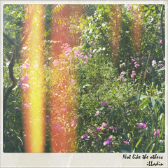 Not Like the Other's