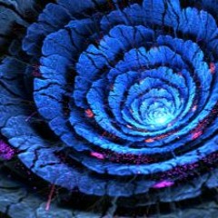 Net Vision - Lakebed Chillin' (MindShift Remake)
