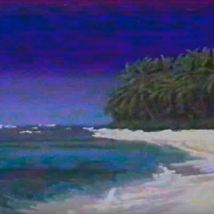 PALMERAS WEB