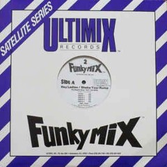 The Beastie Boys - Hey Ladies & Shake Your Rump (Funkymix)