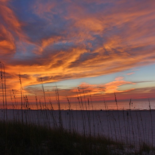 تلاوة خاشعة من سورة الاعراف ياسر الدوسري (ونادى أصحاب الجنة)