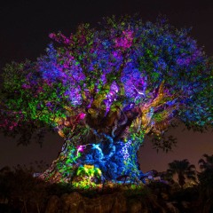 Akajani - Tree of colors (Demo)
