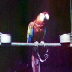 Technicolor Image.