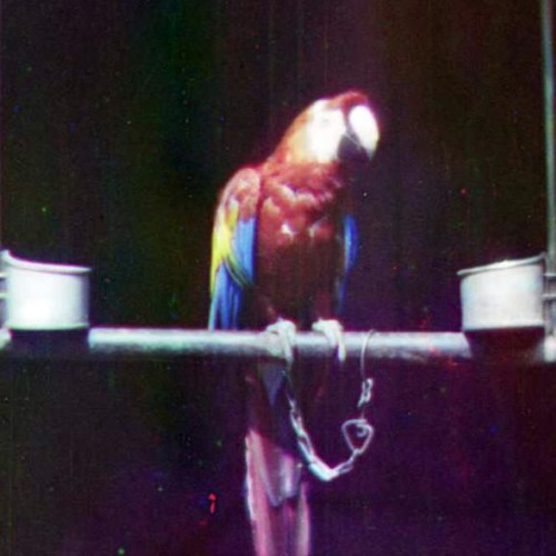 Technicolor Image.