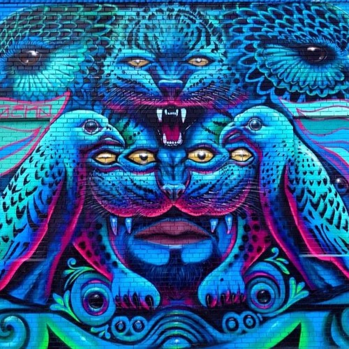 Seeing With Another Pair Of Eyes