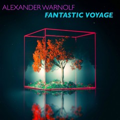 Fantastic Voyage