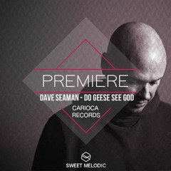 PREMIERE : Dave Seaman - Do Geese See God [Carioca Records]