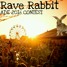 Rave Rabbit