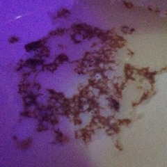 Cloud hopping at home