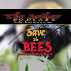 Bees, Electromagnetism, and How to Save Them