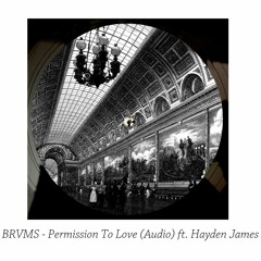 BRVMS - Permission To Love (Audio) ft. Hayden James