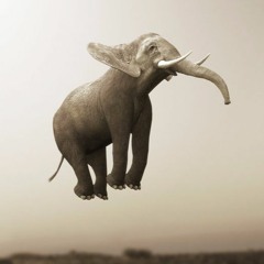 Elephant Jumped to the Top of Skyscraper - Epic Music