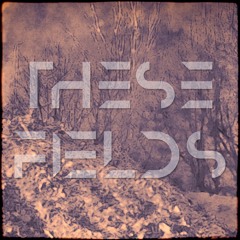 These Fields - Dismal Tranquility [2016 NEW MATERIAL]