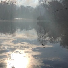Winter Lake -  field recording.
