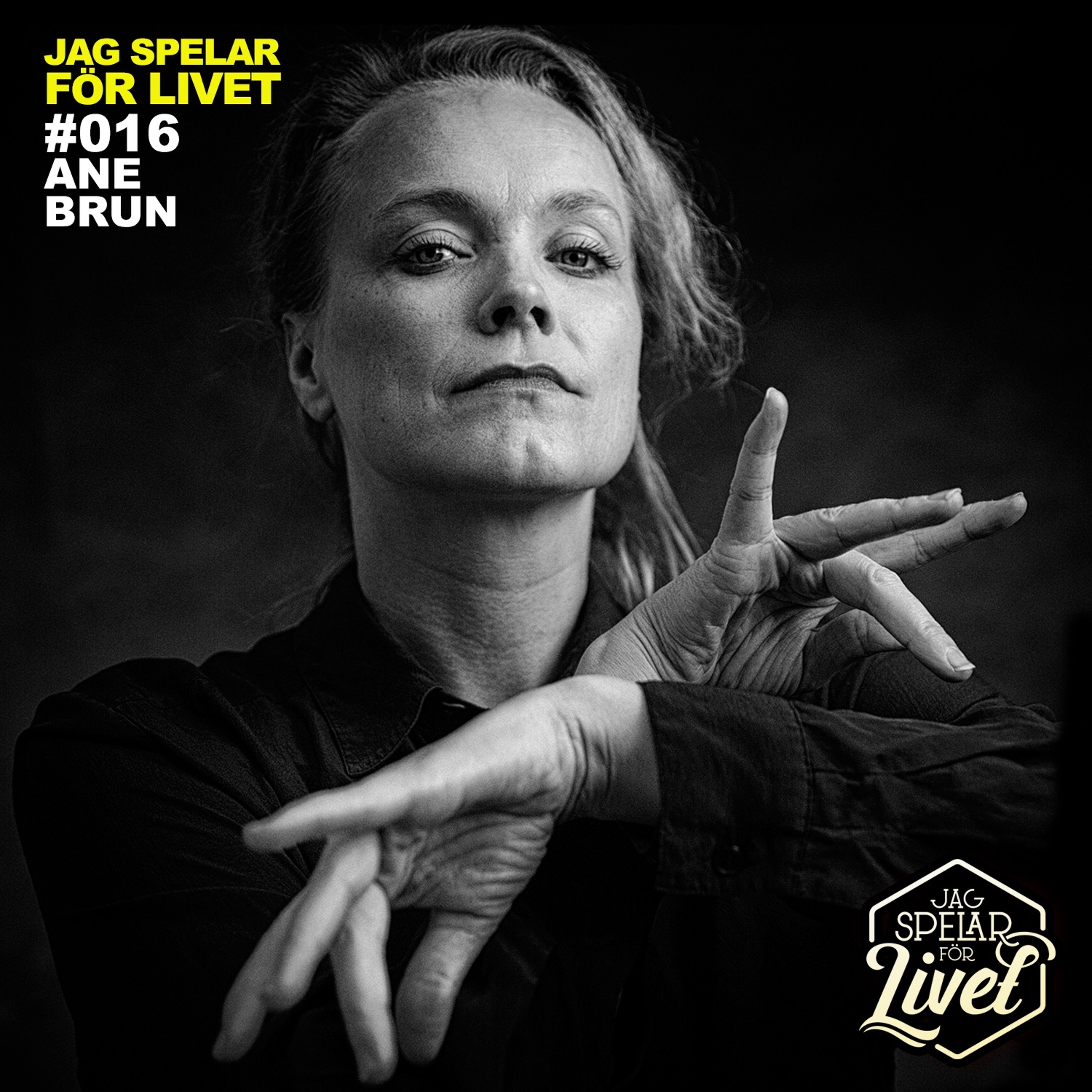 Jag Spelar för Livet - Musiker om Musik
