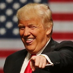 Grab Them By The Pu$$y