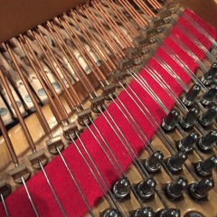 The Hungry Cat - BANFF Club Set - Improv