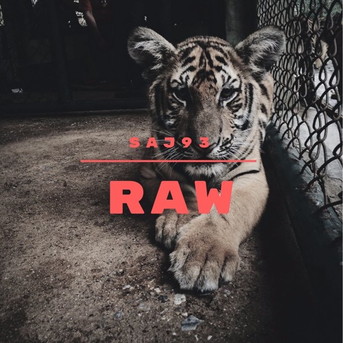 Raw - Original Music Composition -- SAJ93