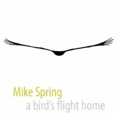 A bird's flight home