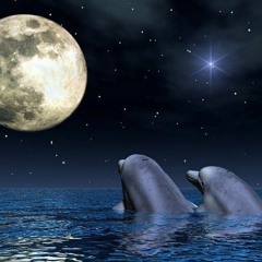 THE MOON AND THE SEA