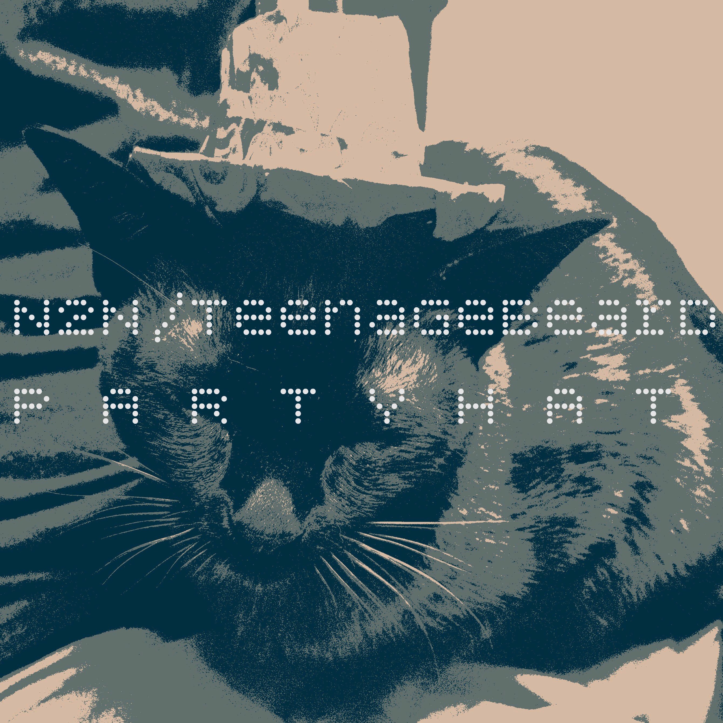 N2N/Teenagebeard - Party Hat episode artwork