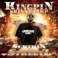 Kingpin Skinny Pimp ft. 211 - Stash