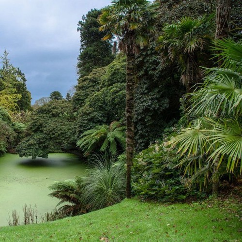 #TGATJ (The Garden And The Jungle) --- SynTalk