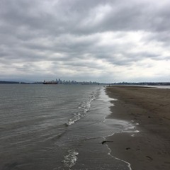 Babooshka Experiment - E:li