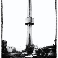 Black Babylon