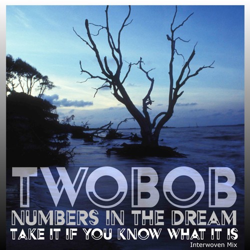 NumbersInTheDream - Take It If You Know What It Is [TWOBOB InterWoven Remix] (MintFam Exclusive)