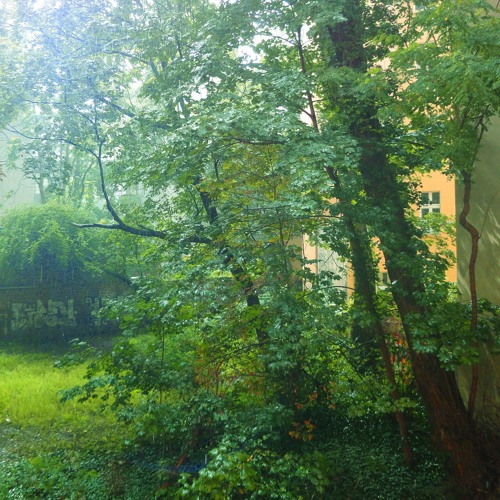 [took] half many for the trees