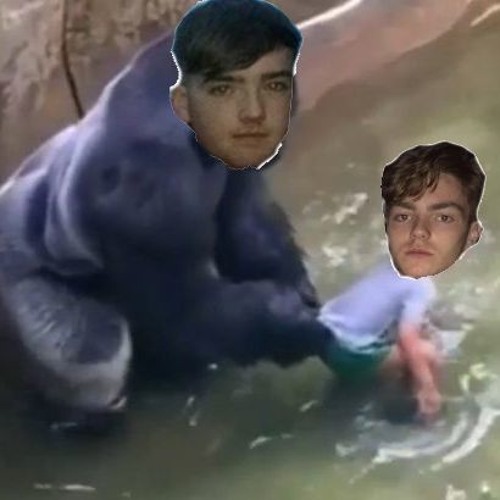 Harambe
