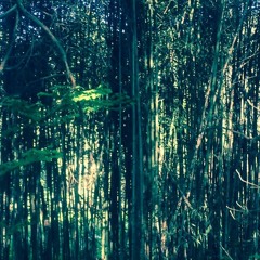 Deprogramming The Jewel