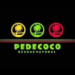 Pedecoco - Surf Trip