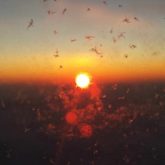 depth_of