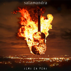 Salamandra - Solito