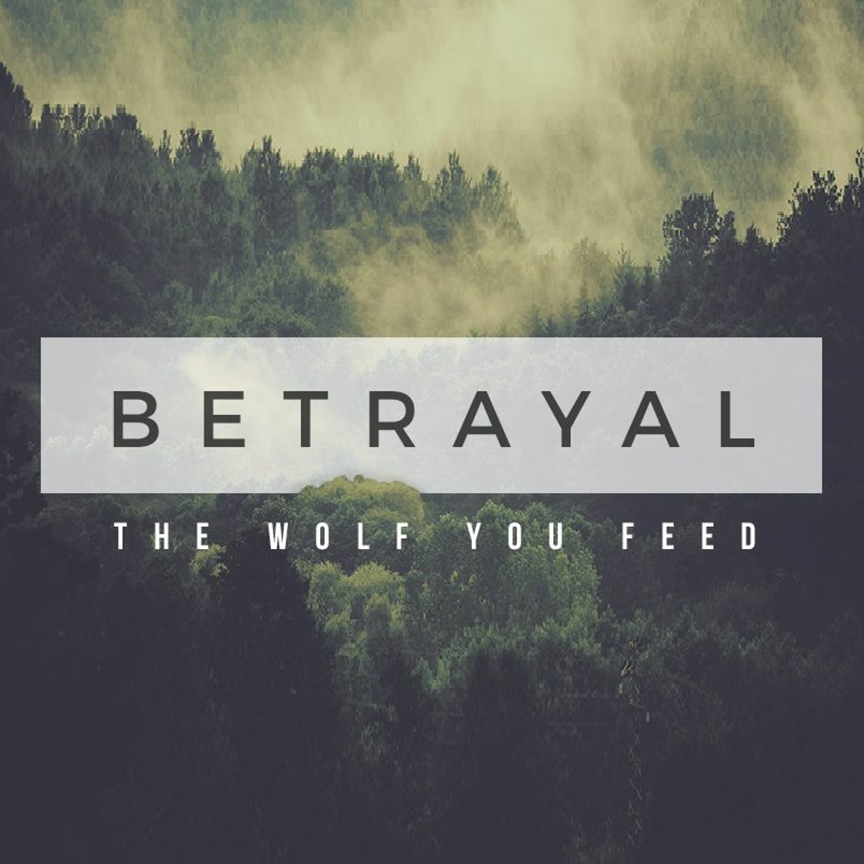Betrayal: The Wolf You Feed (Mark 14:1-11) | Chris - Sunday 9th October 2016
