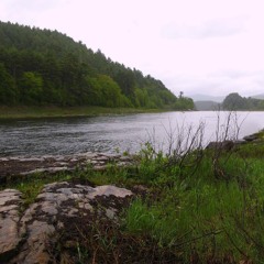 Rainy Meadow