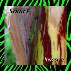 SonicF - Arboreal Acre