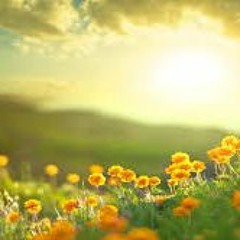 Beautiful Morning - Peter Stocking