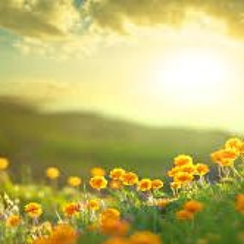 Beautiful Morning - Peter Stocking