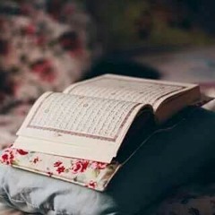 الشيخ سيد متولى عبد العال سورة الأنسان وقصاره السور