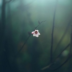 Forgotten September
