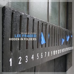 Lee Fraged - Another Cosmos