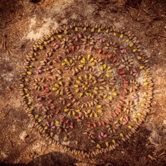 Mr. Nylson - Birds On Ashtray´s