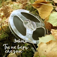 Ты не верь слезам