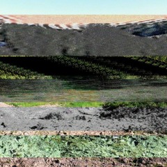 Foolish Wizard - Apprendre Le Français Pour Parler Aux Chats