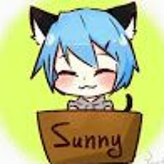 夏之夜
